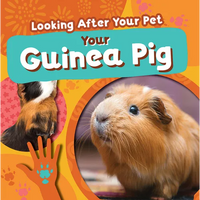 Your Guinea Pig - Paperback