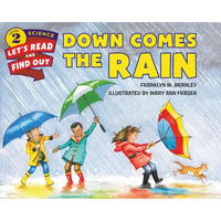 Down Comes the Rain - Paperback