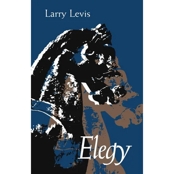 Elegy - Paperback