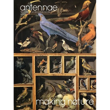 Antennae #49 Making Nature - Paperback