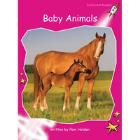 Baby Animals - Paperback