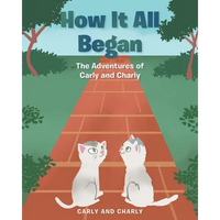 How It All Began - Paperback