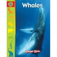 Whales - Library Binding