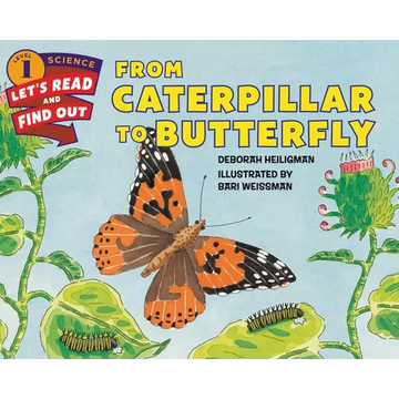 From Caterpillar to Butterfly - Paperback