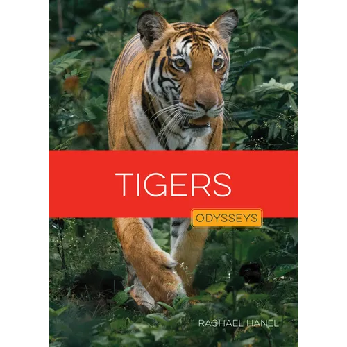 Tigers