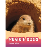 Prairie Dogs - Hardcover