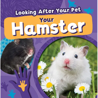 Your Hamster - Paperback