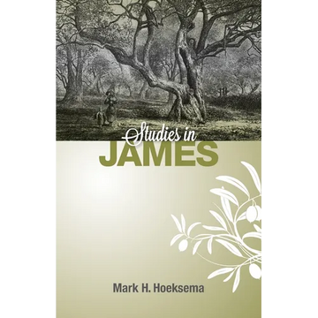 Studies in James - Paperback