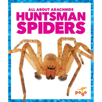 Huntsman Spiders - Library Binding