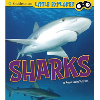 Sharks - Paperback