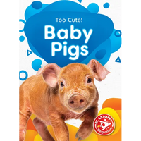 Baby Pigs - Paperback