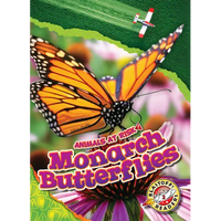 Monarch Butterflies - Library Binding