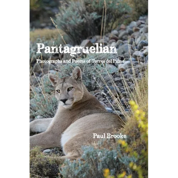 Pantagruelian: Photographs and Poems of Torres del Paine - Paperback