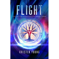 Flight: Volume 3 - Paperback