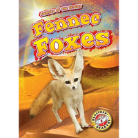 Fennec Foxes - Paperback