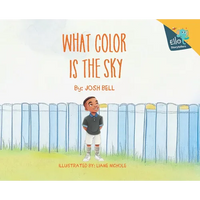 What Color is the Sky - Hardcover