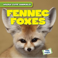 Fennec Foxes - Library Binding