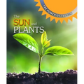 The Sun and Plants