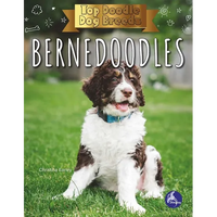Bernedoodles - Paperback