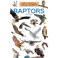 Raptors - Library Binding
