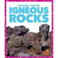 Igneous Rocks - Library Binding