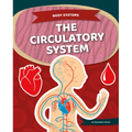 Circulatory System