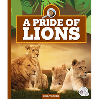A Pride of Lions - Library Binding