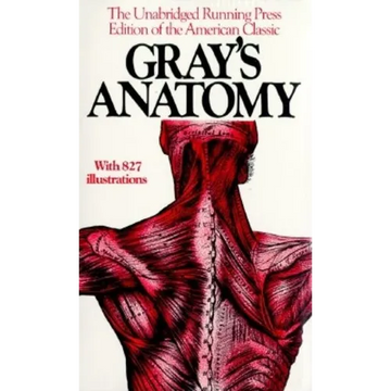 Gray's Anatomy - Paperback