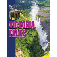 Victoria Falls - Paperback