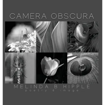 Camera Obscura - Hardcover