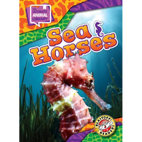 Sea Horses - Library Binding