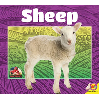 Sheep - Library Binding