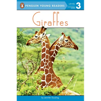 Giraffes - Paperback
