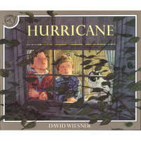 Hurricane - Paperback