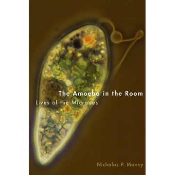 Amoeba in the Room: Lives of the Microbes - Hardcover