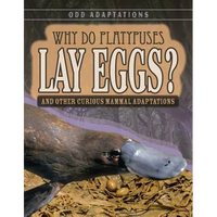 Why Do Platypuses Lay Eggs?: And Other Curious Mammal Adaptations - Library Binding