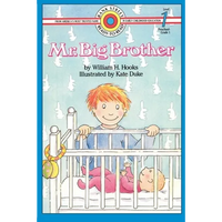 Mr. Big Brother: Level 1 - Paperback
