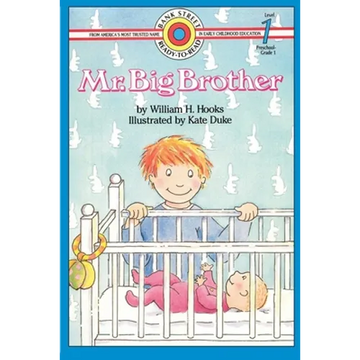 Mr. Big Brother: Level 1 - Paperback