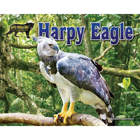 Harpy Eagle - Paperback