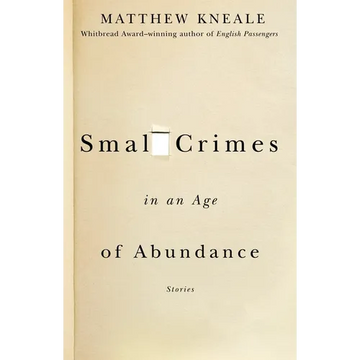 Small Crimes in an Age of Abundance - Paperback