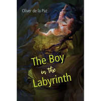 The Boy in the Labyrinth: Poems - Paperback