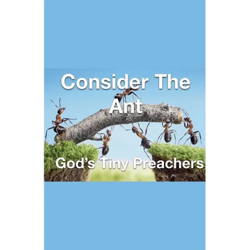 Consider The Ant - God's Tiny Preachers - Paperback