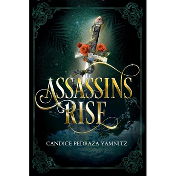 Assassins Rise - Paperback