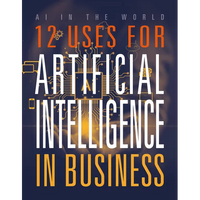 12 Uses for Artificial Intelligence in Business - Paperback
