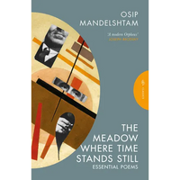 The Meadow Where Time Stands Still: Selected Poems - Paperback