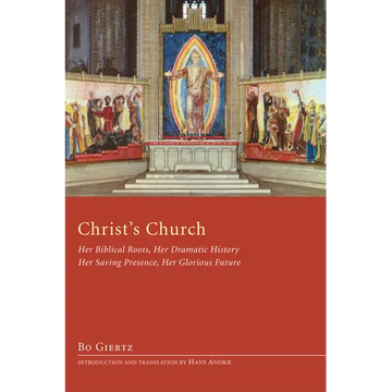 Christ's Church - Paperback