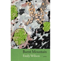 Burnt Mountain - Paperback