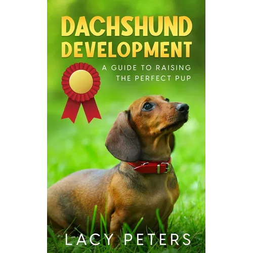 Dachshund Development: A Guide to Raising the Perfect Pup