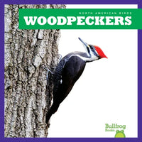 Woodpeckers - Paperback