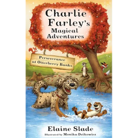 Perseverance at Otterberry Banks - Paperback